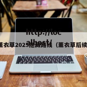 薰衣草2025隐藏路线（薰衣草后续）